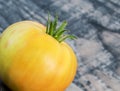 Big fresh yellow tomato isolated on wood  background Royalty Free Stock Photo