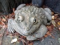 frogstatue Royalty Free Stock Photo