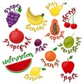 Big fruit icons vector set. Modern flat design. objects.