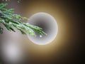 Big full glowing moon behind a Cupressus tree branch on dark blurred sky background. Royalty Free Stock Photo