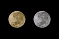 Big full moon on supermoon day in November 2016 with yellow and