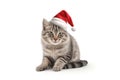 Big funny fluffy cat in a Santa Claus hat. Christmas animal concept. Kitten in red Santa hat isolated on white Royalty Free Stock Photo