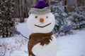 Big funny real Snowman in winter