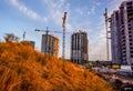 Big future multi-store housing complex with autumn golden yellow grass in sunset sky Royalty Free Stock Photo