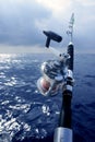 Big game boat fishing in deep sea Royalty Free Stock Photo