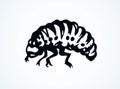 Beetle. Larva. Vector drawing Royalty Free Stock Photo