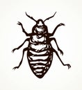 Beetle. Larva. Vector drawing Royalty Free Stock Photo