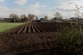 Big garden in the village. Farmland. Agricultural field on a background.