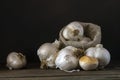 big Garlic Cloves and Bulb wooden table cooking on dark background. burlap sack cutting board copy space Close-up rustic still Royalty Free Stock Photo