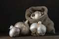 big Garlic Cloves and Bulb wooden table cooking on dark background. burlap sack cutting board copy space Close-up rustic still Royalty Free Stock Photo