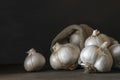 big Garlic Cloves and Bulb wooden table cooking on dark background. burlap sack cutting board copy space Close-up rustic still Royalty Free Stock Photo