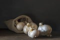 big Garlic Cloves and Bulb wooden table cooking on dark background. burlap sack cutting board copy space Close-up rustic still Royalty Free Stock Photo