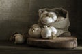 big Garlic Cloves and Bulb wooden table cooking on dark background. burlap sack cutting board copy space Close-up rustic still Royalty Free Stock Photo