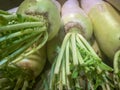 Pile of big, long, giant, white Japanese radish