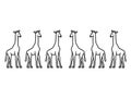 Big giraffes in a row. Giraffe shape, sketch, art or drawing isolated on white background. Animals set or collection. Royalty Free Stock Photo