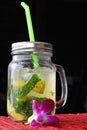 Big glass of mojito with orchid flower on black Royalty Free Stock Photo