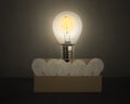 Big glowing light bulb with money symbol float over opened cardboard box and others smaller bulbs