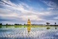 Big gold buddha statue wat muang