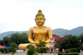 Big Golden Buddha at Khao Kiaw temple Royalty Free Stock Photo