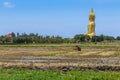 Big golden buddha statue sitting with foreground farmer working on rice field