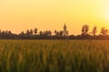 Big golden buddha statue, Thailand Royalty Free Stock Photo