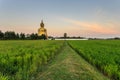 Big golden buddha statue, Thailand Royalty Free Stock Photo