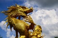 big golden dragon on blue sky Royalty Free Stock Photo
