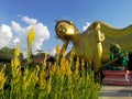 Big Golden Reclining Buddha, Wat Kok Mai Daeng, Phitsanulok Province, Thailand