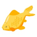 Big goldfish icon, isometric style Royalty Free Stock Photo
