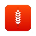 Big grain spike icon digital red