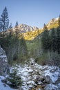 Big granite stones in a riverbed, Tatra Mountains