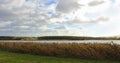 Big grass, pond and cloudy sky. Czech landscape.