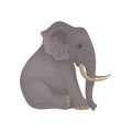 Big gray elephant sitting isolated on white background. Wild animal with large ears, long trunk and tusks. Flat vector Royalty Free Stock Photo