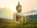 Big great powerful Buddha statue in gold color in the park