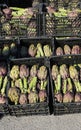 big green artichokes for sale in the open air vegetable market Royalty Free Stock Photo