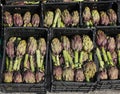 big green artichokes for sale in the open air vegetable market Royalty Free Stock Photo