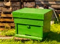 Big green bee hive