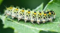 A big green caterpillar on leaf. Generative Ai Royalty Free Stock Photo