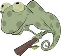 Big green Chameleon cartoon Royalty Free Stock Photo