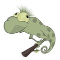 Big green Chameleon cartoon Royalty Free Stock Photo