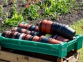 Big green plastic box full with brown and black plastic pots for plants with flower bed in the background in sunny day. Gardening Royalty Free Stock Photo