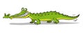 Big green river crocodile Royalty Free Stock Photo