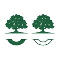 Big Green Shade Oak Tree Logo Template Royalty Free Stock Photo