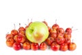 Big green and small red crab apples Royalty Free Stock Photo