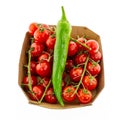 Big green spicy on the background of tomatoes on a branch small culinary design vegetables Royalty Free Stock Photo
