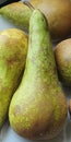 Big green tasty pear