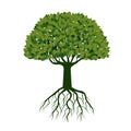 Big Green Tree with Leaves. Vector Illustration. Royalty Free Stock Photo