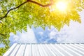 Big green tree protection over house roof from uv sun for cooling chill home good environment fresh air Royalty Free Stock Photo