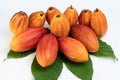 Big group of cacao pods Royalty Free Stock Photo