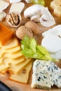 Big group of cheeses Royalty Free Stock Photo